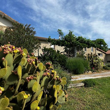 Figuets 3 Apartment Chateauneuf-de-Galaure Bagian luar foto